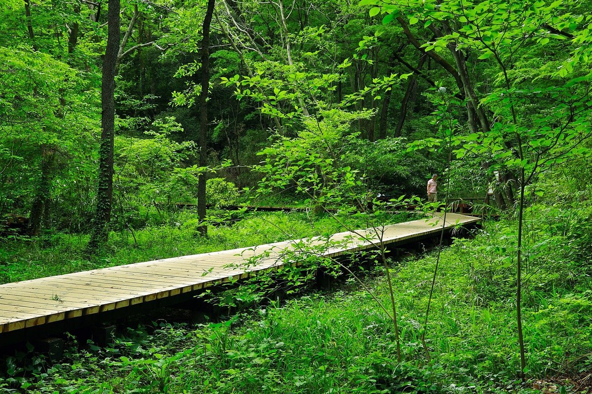 🌳 코미야 공원(코미야 코엔) 이미지 8